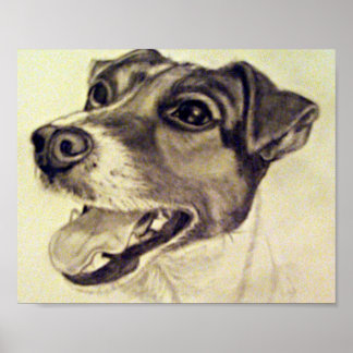 Jester the Jack Russell Terrier Poster