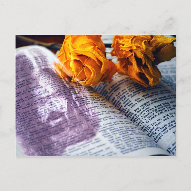 Jesus Christ Bible Yellow Rose Postcard (Front)