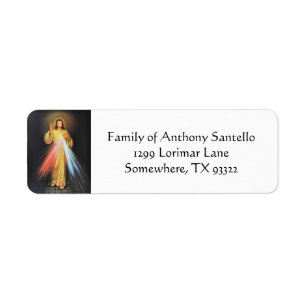 Jesus Divine Mercy Religious Catholic