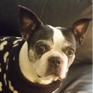 Jesus Follow Me Notepad, Christmas, Gifts, Unique Notepad