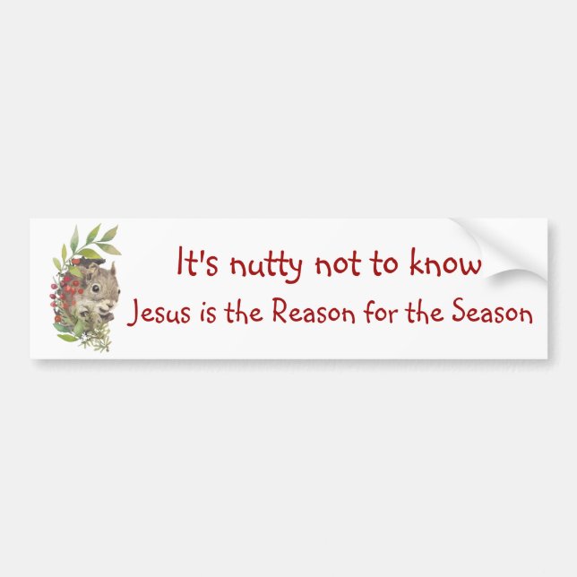 "Jesus is the reason for the season" Fun Squirrel  Bumper Sticker (Front)