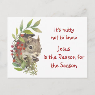 "Jesus is the reason for the season" Fun Squirrel Postcard