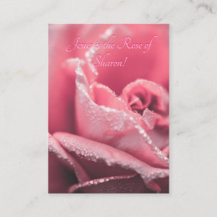 Jesus is "The Rose of Sharon" template