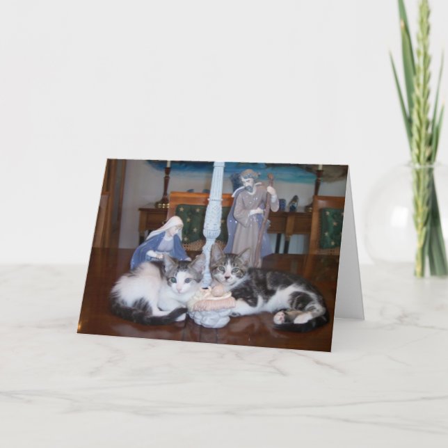 Jesus kittens holiday card (Front)