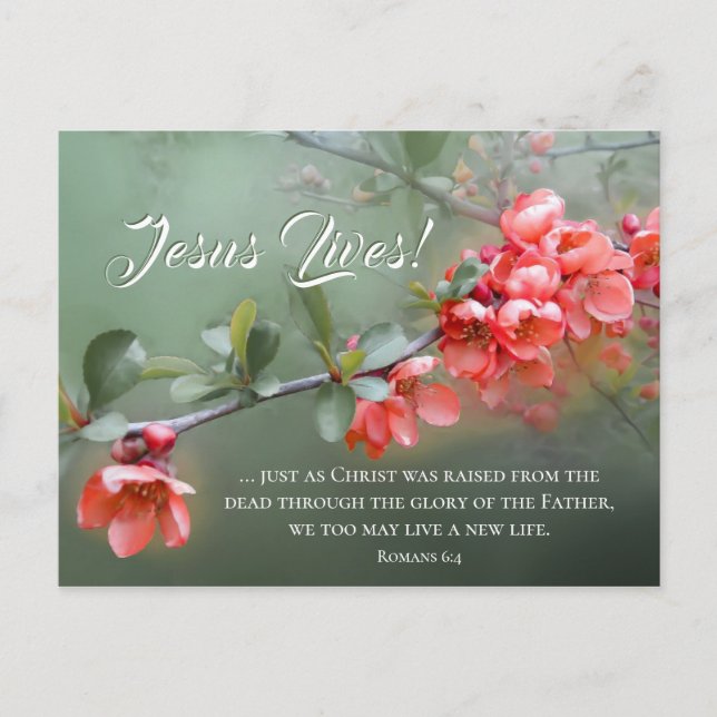 Jesus Lives Spring Flowers Bible Verse Easter Postcard (Front)