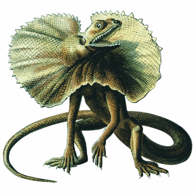 Jesus Lizard Photo Sculpture (Front)