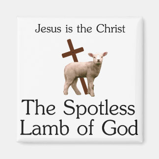 Jesus the Christ, spotless lamb of God Magnet