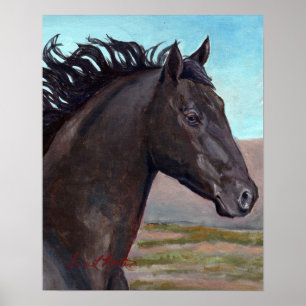 Jet : Band Stallion Of Sand Wash Basin Poster