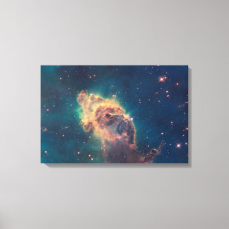 Jet in Carina Wrapped Canvas