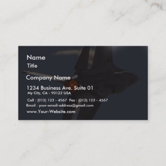 Jets Fighters Planes Business Card