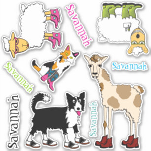 Jett and Friends Variety