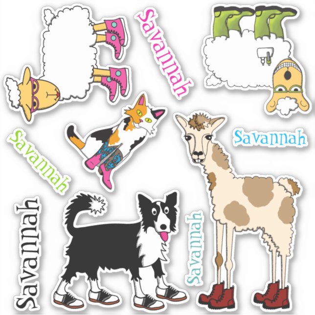 Jett and Friends Variety (Front)