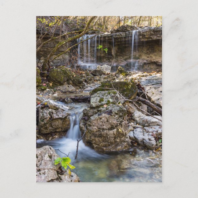 Jewel of Henning Conservation Blank Post Card (Front)