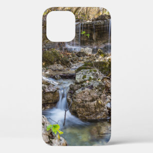 Jewel Of Henning Conservation iPhone 12 Case