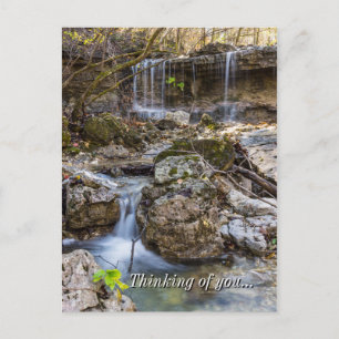 Jewel Of Henning Conservation Thinking Of You Postcard