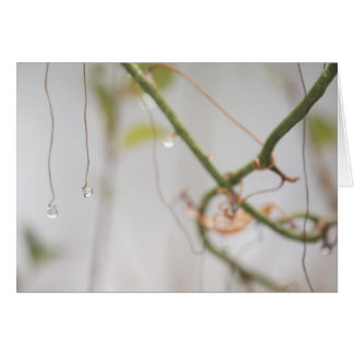 Jewelled