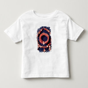 Jewellery from Khorsabad, Iraq Toddler T-Shirt