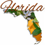 Jewellery - Pin - FLORIDA Photo Sculpture Magnet<br><div class="desc">Though occasionally referred to as "The Peninsula State", Florida's official nickname is "The Sunshine State". It was adopted officially by the Florida legislature in 1970. It probably comes as no great surprise that the state flower of Florida is the Orange Blossom. Florida and oranges are almost synonymous, thanks to the...</div>