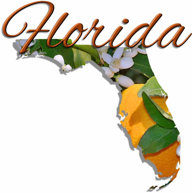 Jewellery - Pin - FLORIDA Photo Sculpture Magnet (Front)