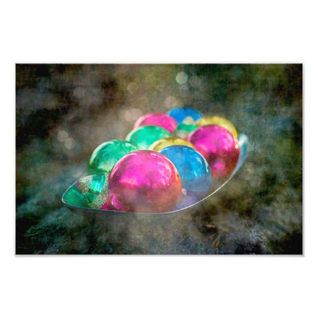 Jewels of the Forest Christmas Ornaments Photo Print (Front)