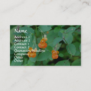 Jewelweed Nature Photography Business Card