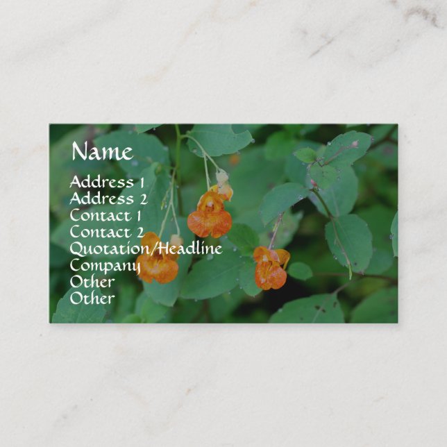 Jewelweed Nature Photography Business Card (Front)