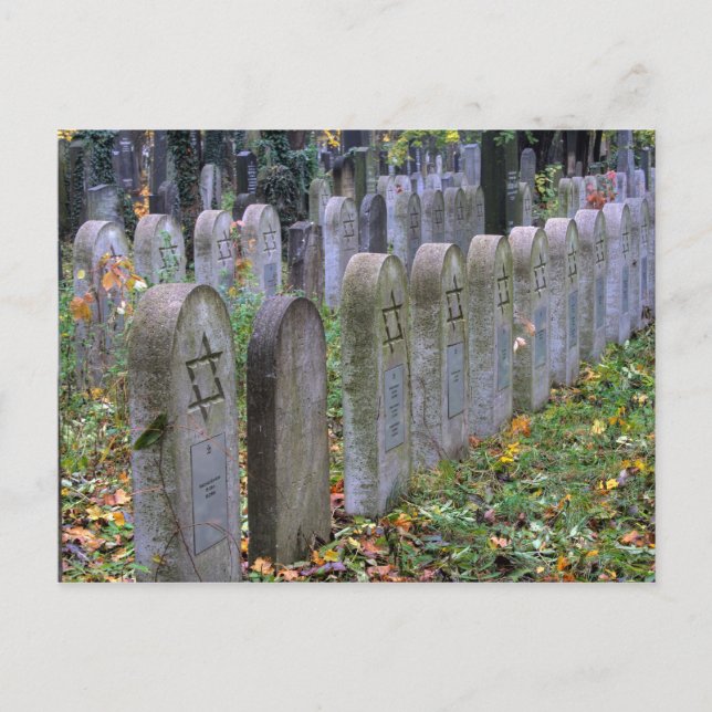 Jewish Graves At Zentralfriedhof Postcard (Front)