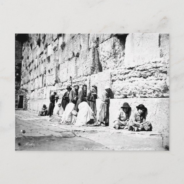 Jewish prayers in the Western Wall, Jerusalem Postcard (Front)