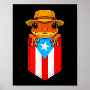 Jibaro Coqui Frog Puerto Rico Flag Boricua Pocket  Poster