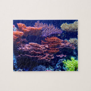 Jigsaw, beautiful colourful underwater ocean scene jigsaw puzzle