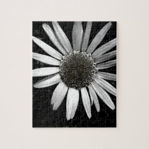 jigsaw puzzle daisy black and white  photo art