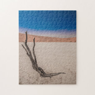 Jigsaw puzzle of Dessert Scape at Deadvlei
