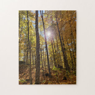 Jigsaw Puzzle - Sunshine Through Fall Woods