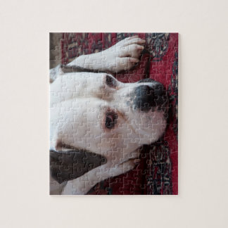 Jigsaw Puzzle: White Boxer Dog Jigsaw Puzzle