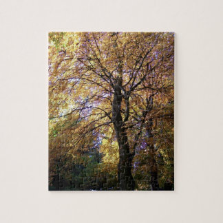 Jigsaw Puzzle with Autumn Beech Trees