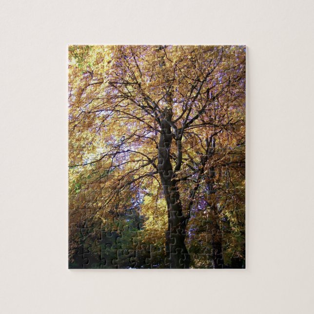 Jigsaw Puzzle with Autumn Beech Trees (Vertical)