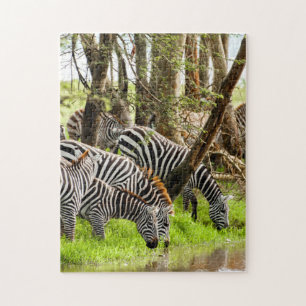 Jigsaw puzzle Zebras by the river