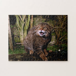 jigsaw - Scottish wildcat Jigsaw Puzzle