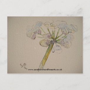 Jigsaw series - Cow parsley  2010 Postcard