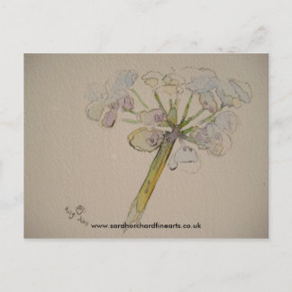 Jigsaw series - Cow parsley  2010 Postcard