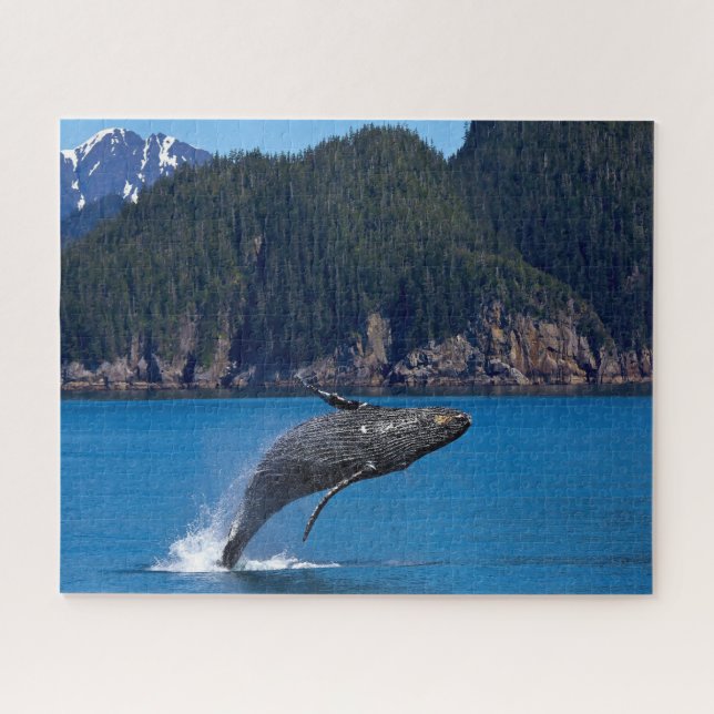 Jigsaws Humpback Whales. Jigsaw Puzzle (Horizontal)