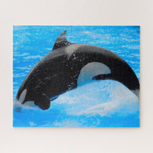Jigsaws Orcas or Killer Whales Jigsaw Puzzle