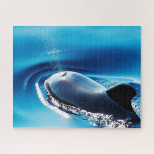 Jigsaws Pilot Whales Jigsaw Puzzle
