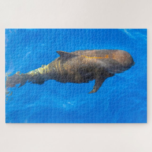 Jigsaws Pilot Whales Jigsaw Puzzle (Horizontal)