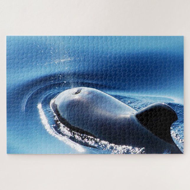 Jigsaws Pilot Whales Jigsaw Puzzle (Horizontal)