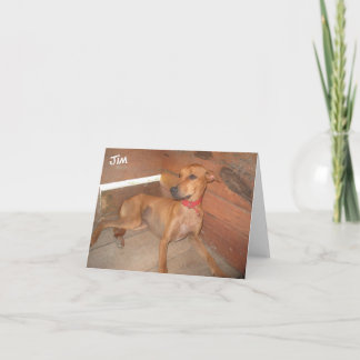 Jim:  Runs and jumps, refuses to be contained! Card