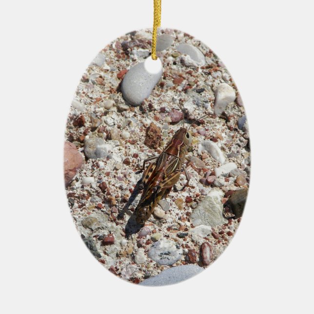 Jiminy Cricket Ceramic Tree Decoration (Front)