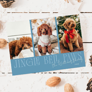 Jingle Bell Paws Christmas Denim Blue Dog Photo  Holiday Card