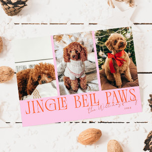 Jingle Bell Paws Christmas Orange Pink Dog Photo  Holiday Card