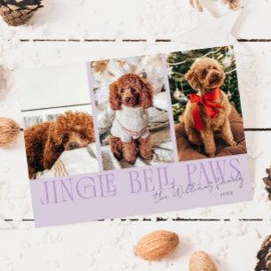 Jingle Bell Paws Christmas Purple Dog Photo  Holiday Card